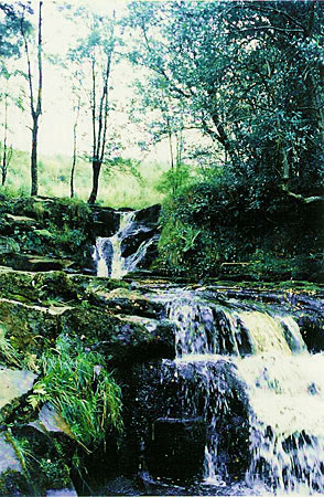 Glenbarrow Waterfall, Slieve Bloom Mountains